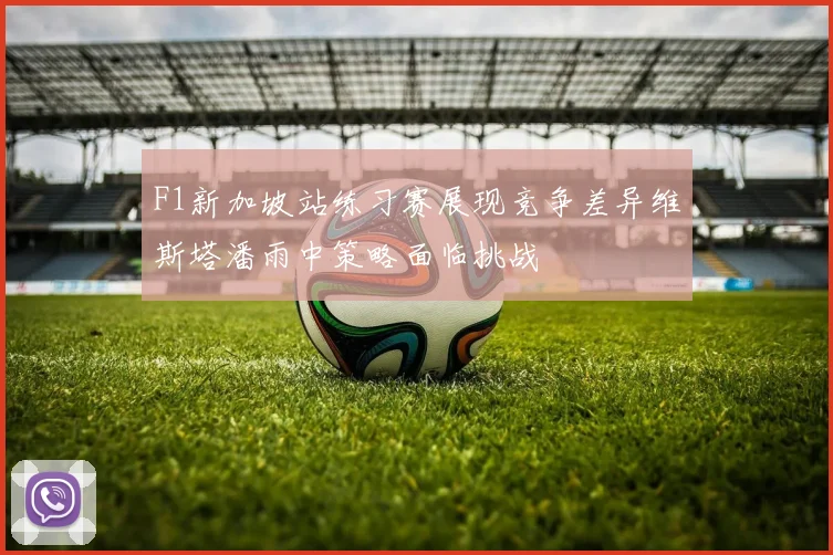 F1新加坡站练习赛展现竞争差异维斯塔潘雨中策略面临挑战