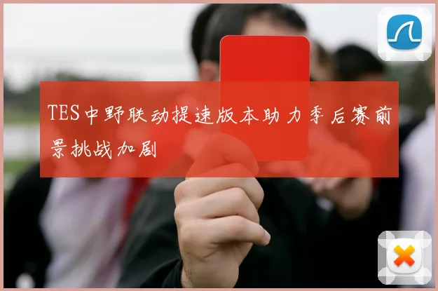 TES中野联动提速版本助力季后赛前景挑战加剧