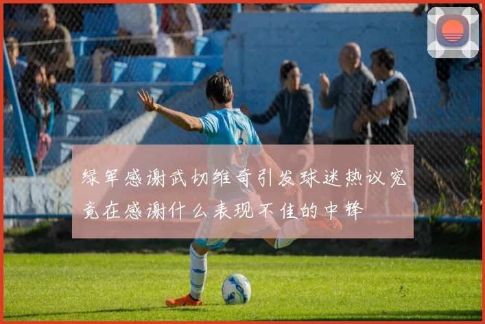 绿军感谢武切维奇引发球迷热议究竟在感谢什么表现不佳的中锋