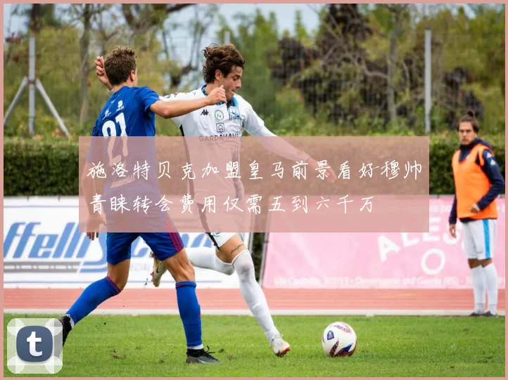 施洛特贝克加盟皇马前景看好穆帅青睐转会费用仅需五到六千万